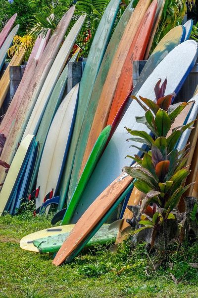 Surfboards and bodyboards-Kauai-Hawaii-USA